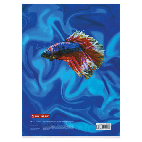 Папка-уголок BRAUBERG "SEA WORLD", А4, 150 мкм, цветная печать