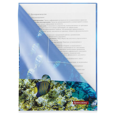 Папка-уголок BRAUBERG "SEA WORLD", А4, 150 мкм, цветная печать